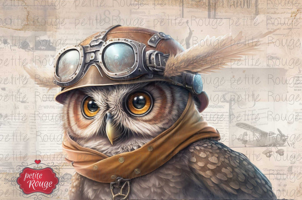 DECOUPAGE PAPIER PR-PDM063 Steampunk Owl (900x600)