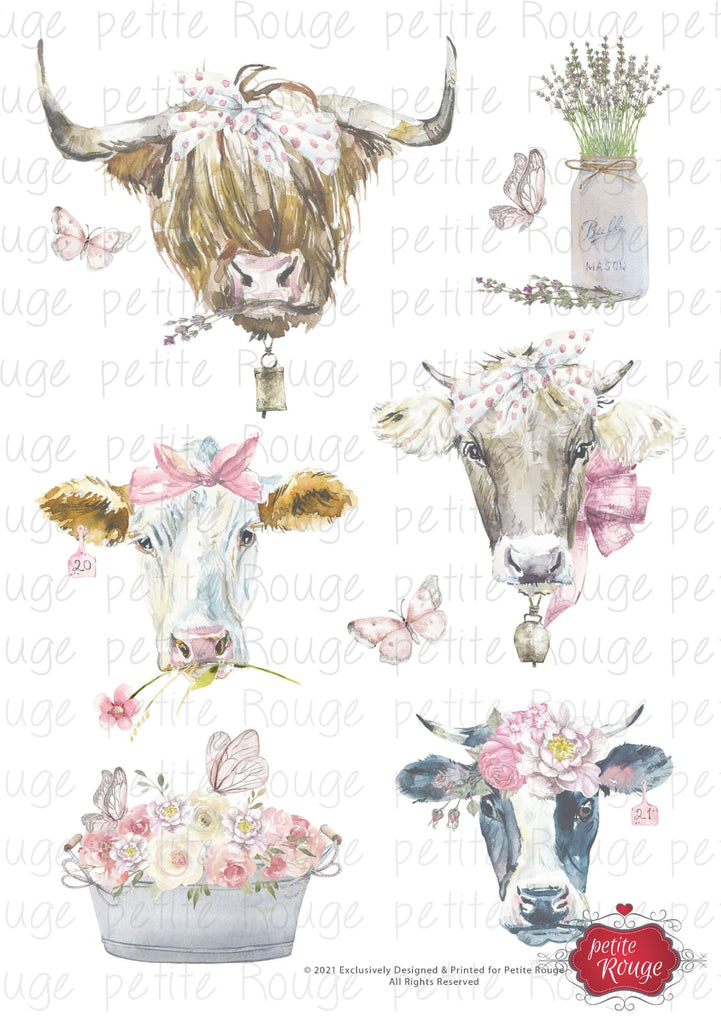 WATERSLIDE TRANSFER A4 - Highland Cow Faces (PR-WS004)