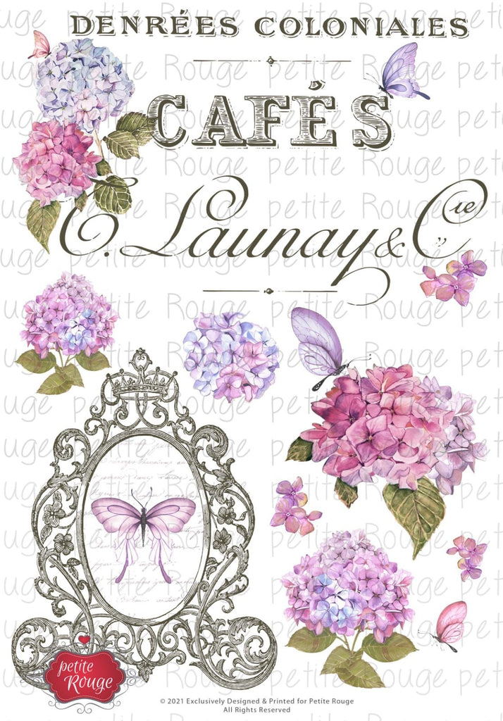 WATERSLIDE TRANSFER A4 - French Hydrangeas (PR-WS002)