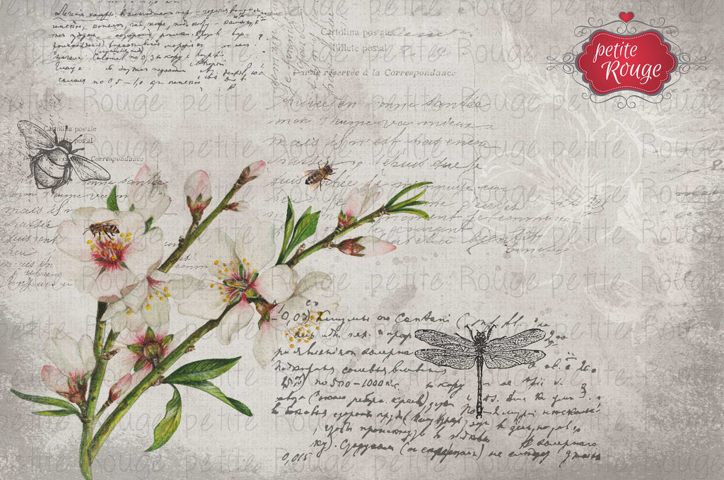 Papier de Meuble - Cherry Blossom (600x900mm)