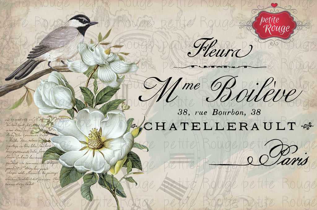 Papier de Meuble - Bird Fleura (A3)