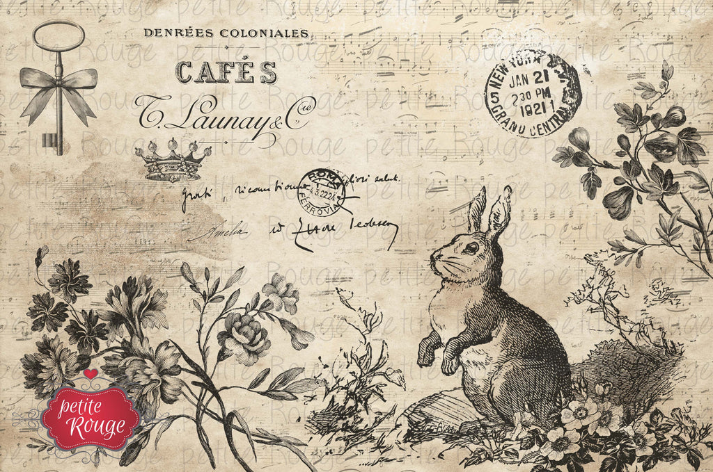 Papier de Meuble - Cafés Bunny (600x900mm)