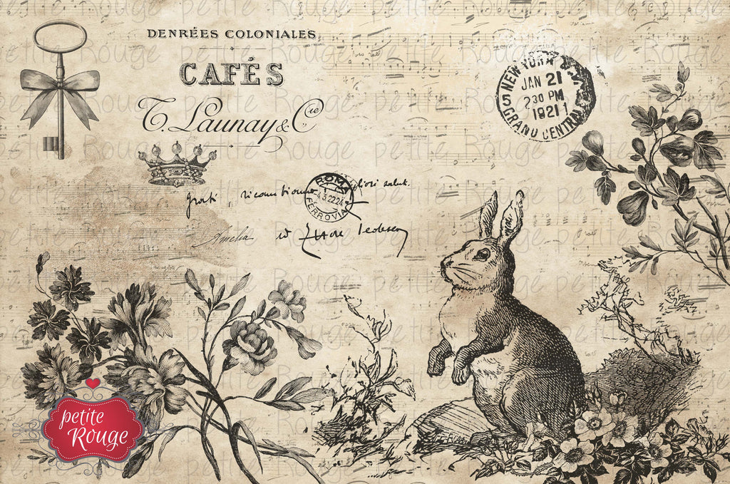 Papier de Meuble - Cafés Bunny (A3)