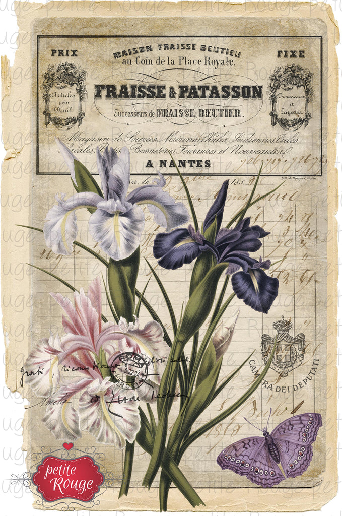 Papier de Meuble - Irises (600x900mm)