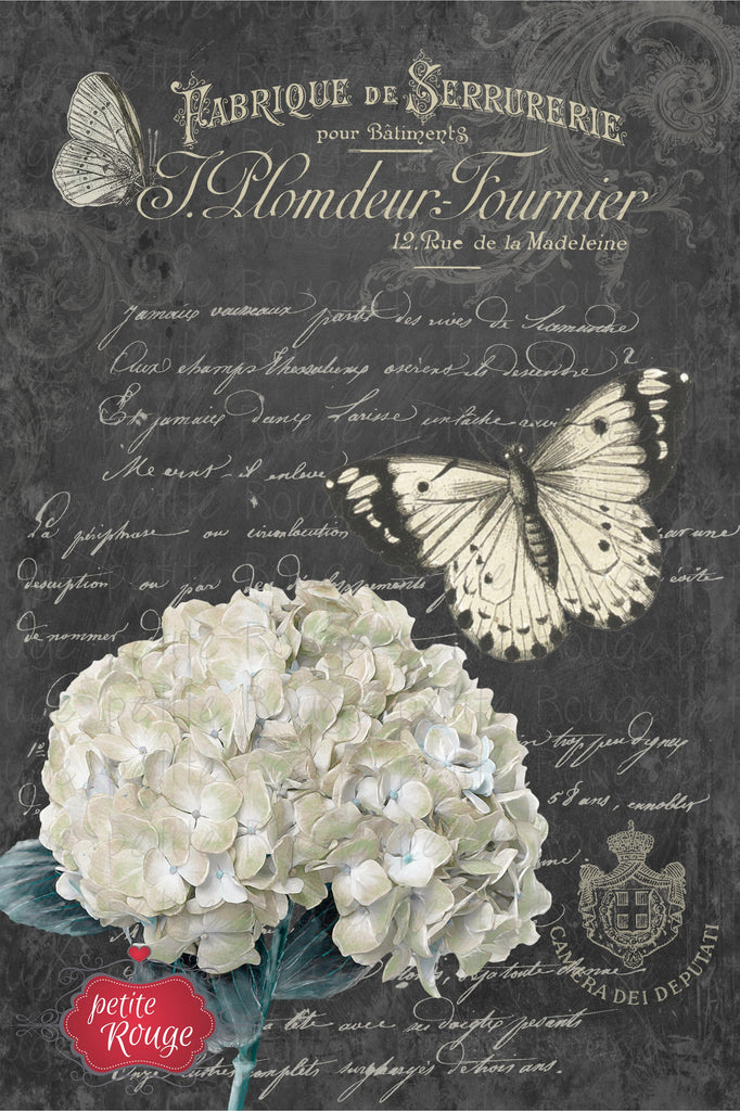 Papier de Meuble - White Hydrangea (600x900mm)