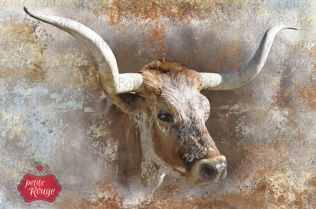 Papier de Meuble - Nguni Cow (A3)