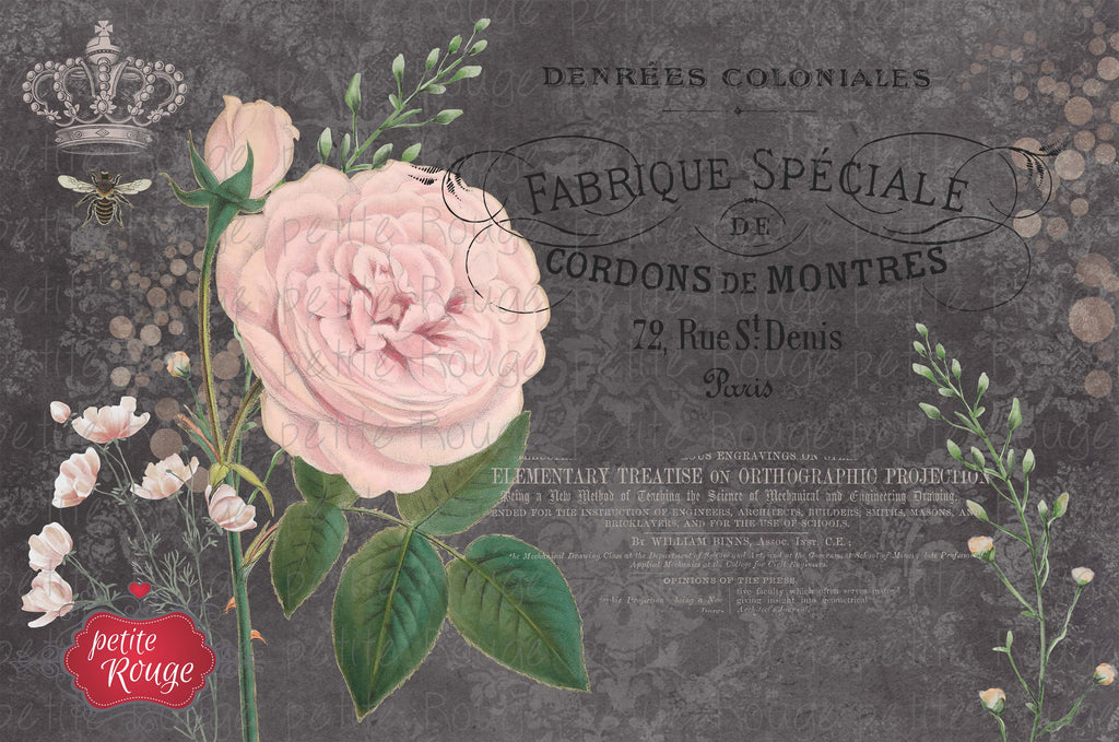 Papier de Meuble - Pink Rose on Black Background (600x900mm) - PR-PDM033