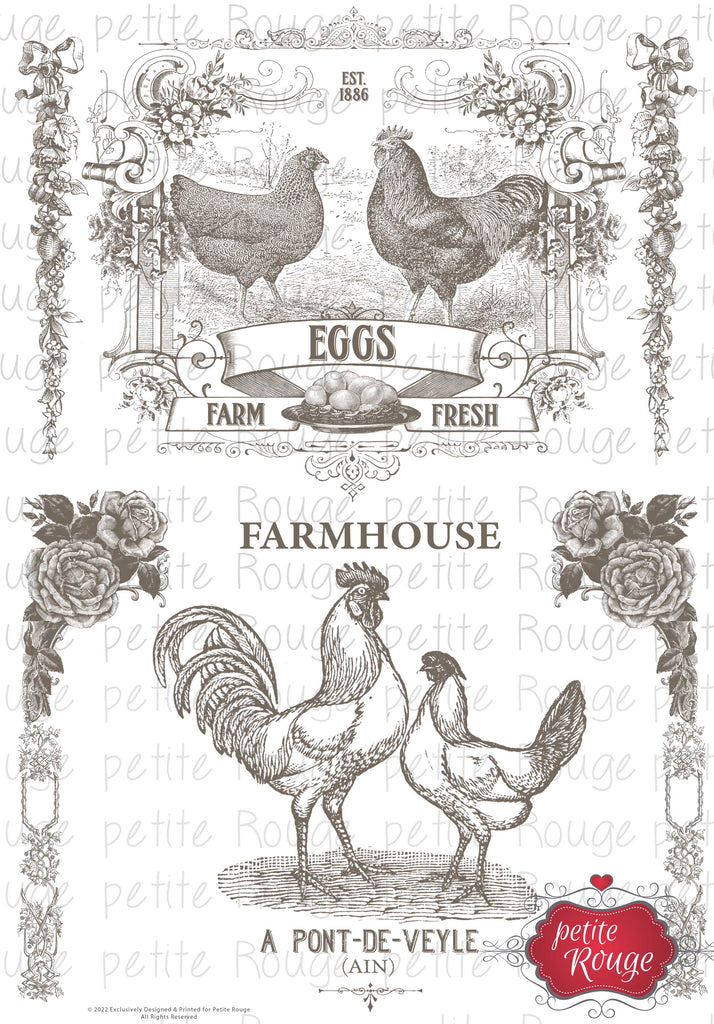 WATERSLIDE TRANSFER A4 - Farm Fresh Eggs (PR-WS008)