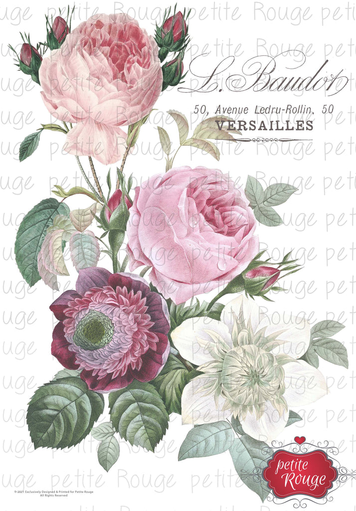 WATERSLIDE TRANSFER A4- L. Baudot large peonie 1 part (PRWS009)