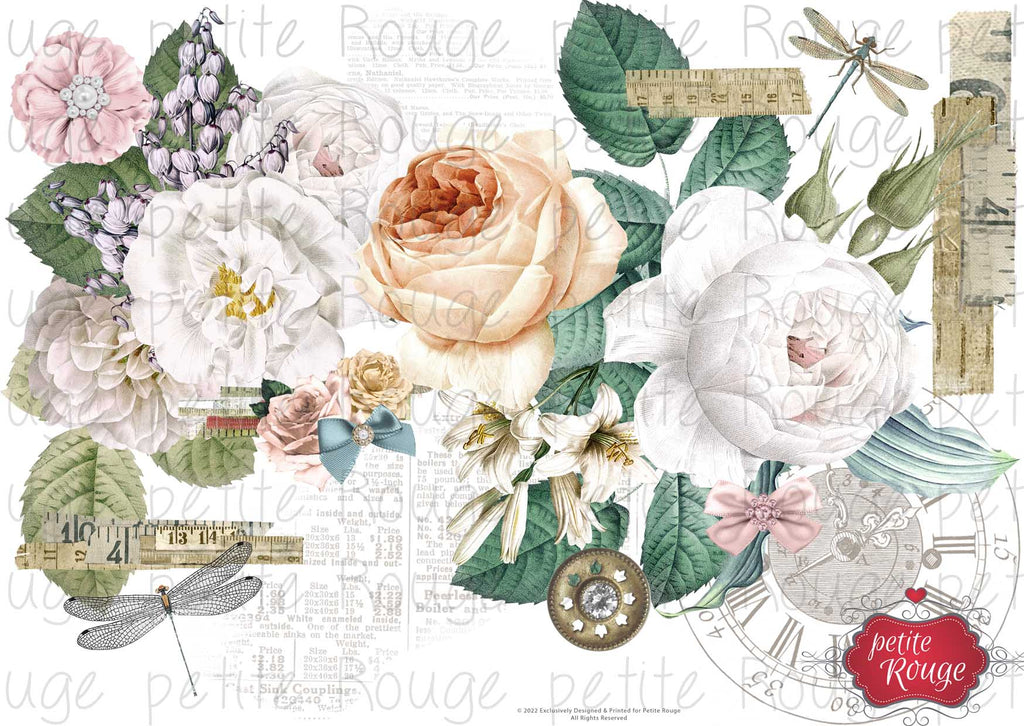 Single flower with Dragonfly A4F (PR-WS011)