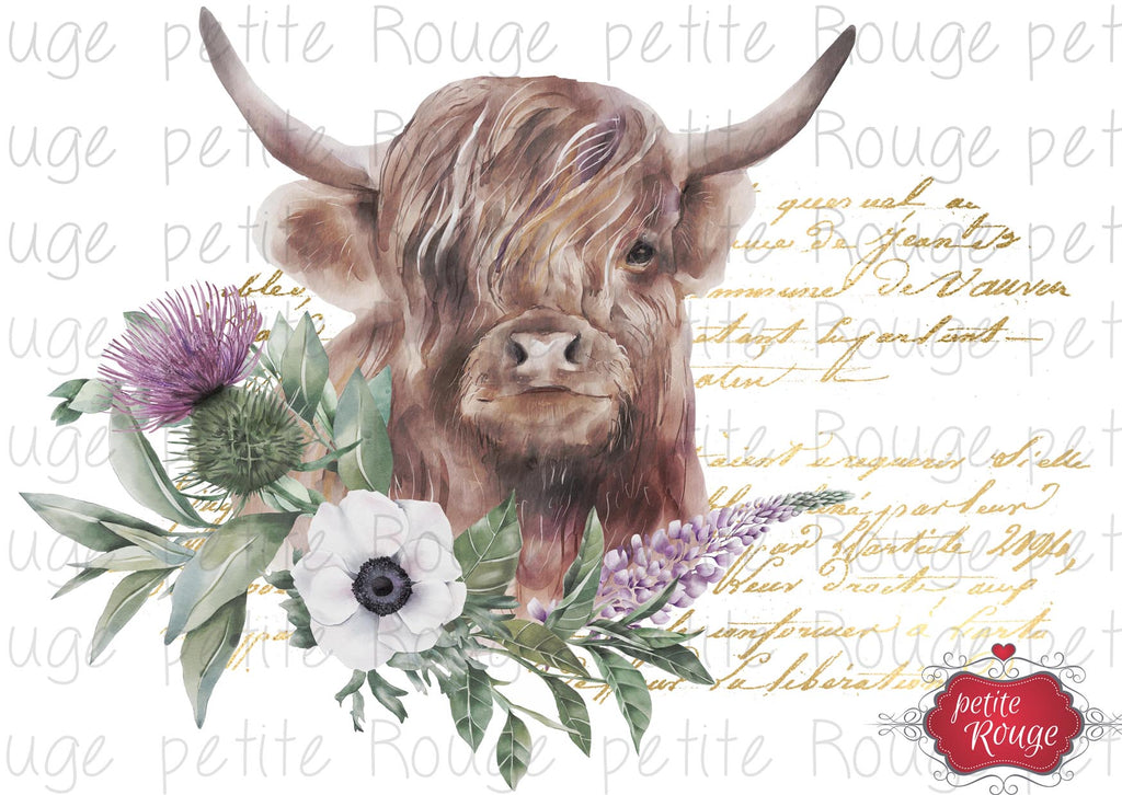 WATERSLIDE TRANSFER A4 - HIGHLAND COW WITH FLOWERS (PR-WS014)