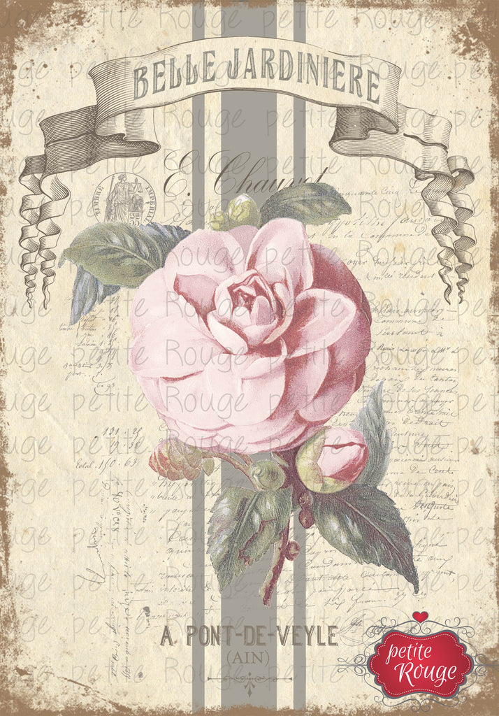 Roses Du Jardin.3 A3 (PR-WS018)