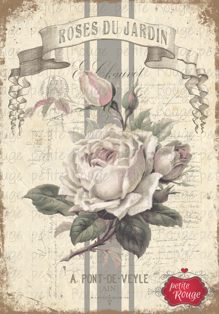 Roses Du Jardin.4 A3 (PR-WS019)