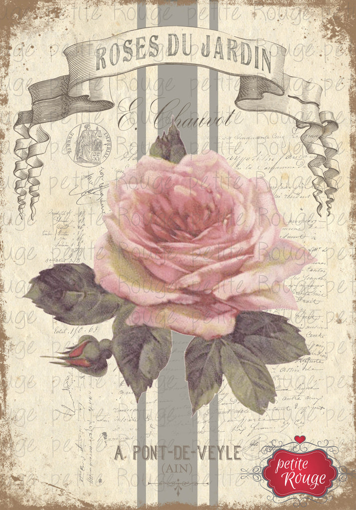 Roses Du Jardin.5 A3 (PR-WS020)