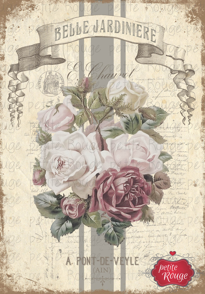Roses Du Jardin.6 A3 (PR-WS021)