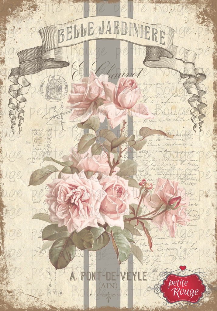 Roses Du Jardin.8 A3 (PR-WS023)