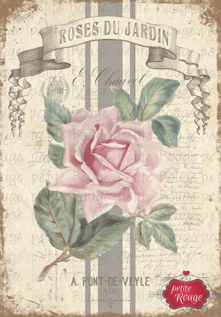 Roses Du Jardin.9 A3 (PR-WS024)