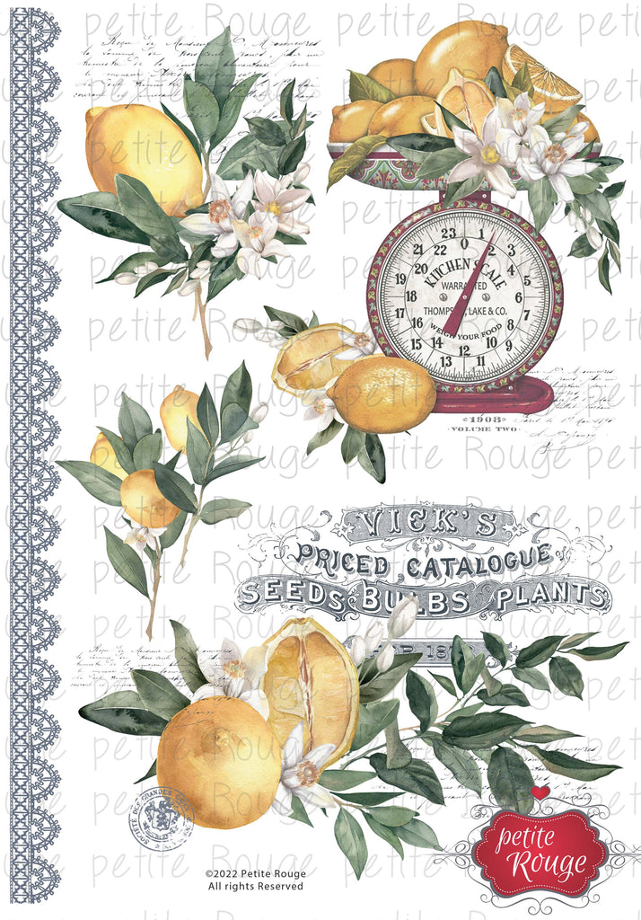 WATERSLIDE TRANSFER A4 - Lemons with kitchen scale (PR-WS025)