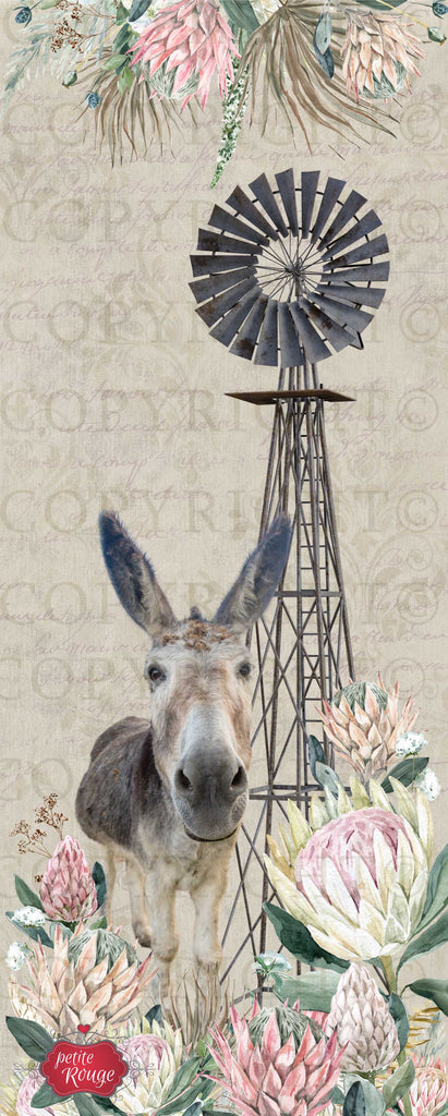 DOOR DECOUPAGE PAPIER - Donkey with proteas/windpomp PR-MDD020